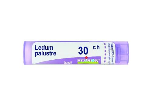 LEDUM PALUSTRE 30CH GRANULI