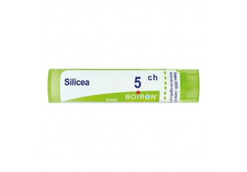 Silicea 5ch granuli