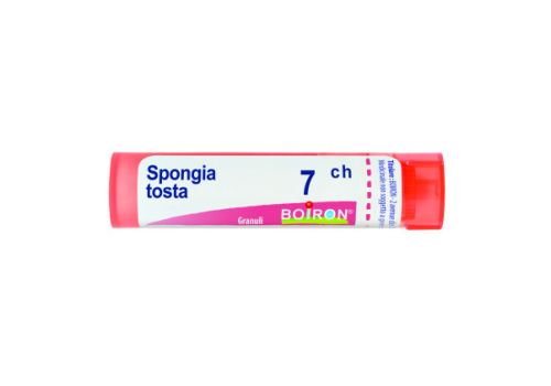 Spongia Tosta 7ch granuli