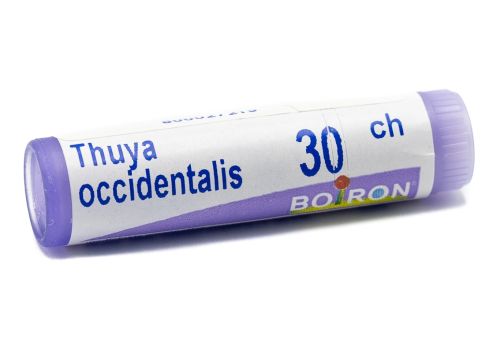 BOIRON THUYA OCCIDENTALIS 30CH GLOBULI 1G