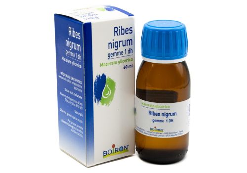 BOIRON RIBES NIGRUM MACERATO GLICERICO 60ML