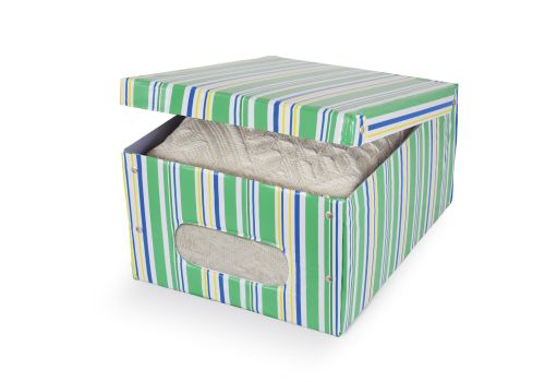 Misterpack scatola in pvc colori e decori assortiti