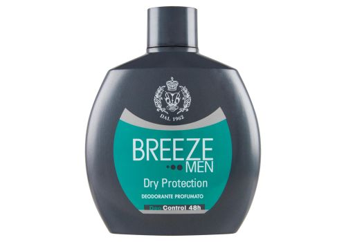Breeze Men Dry Protection deodorante profumato spray no gas 100ml