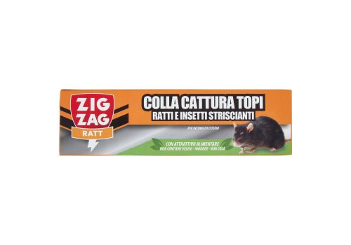 Zig Zag Ratt colla cattura topi ratti e insetti striscianti per interni ed esterni 135 grammi