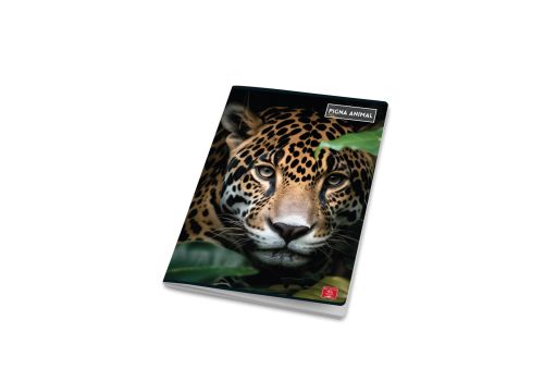 Pigna maxi quaderno A4 animali a quadretti 10mm 42 fogli 1 pezzo