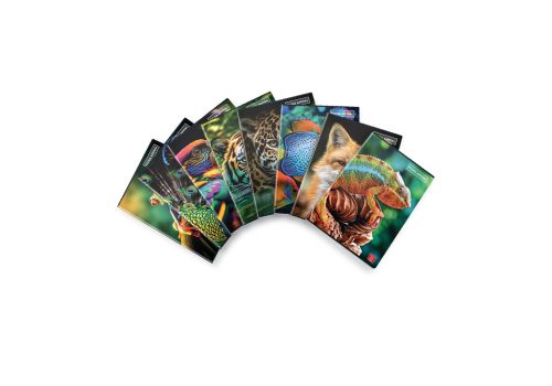 Pigna maxi quaderno A4 animali a quadretti 5mm 42 fogli 1 pezzo