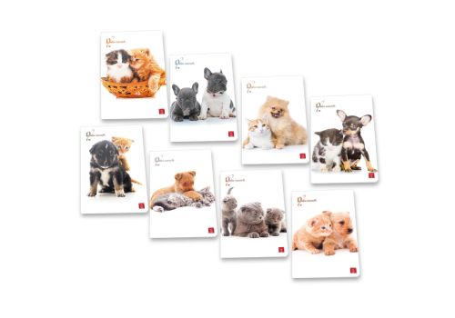 Pigna maxi quaderno A4 dolci cuccioli a quadretti 10mm 42 fogli 1 pezzo