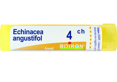 Echinacea Angustifolia 4ch granuli