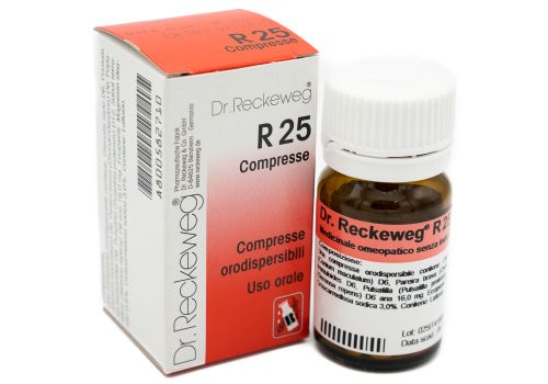 DR. RECKEWEG R25 100CPR 100MG