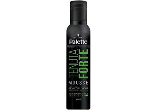 Palette mousse tenuta forte n.5 per lo styling 250ml