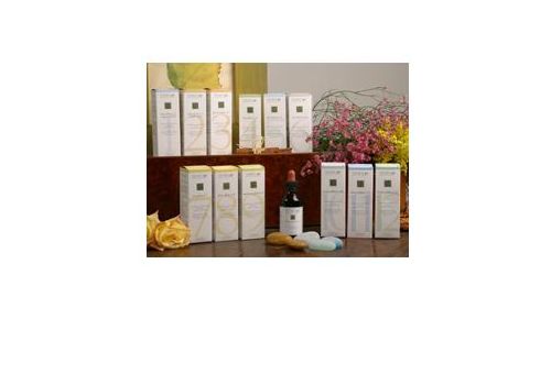 ZEF11 CALMA PLANT STV