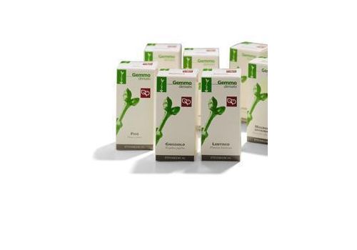 Ribes Nero integratore con effetto depurativo macerato glicerinato 200ml