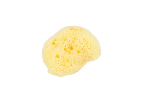 Beautytime spugna di mare struccante di alta qualità