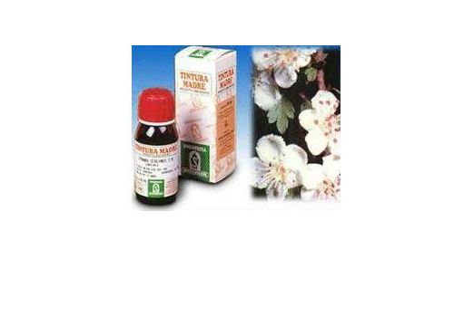 BIANCOSPINO 10 50ML TM