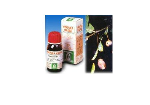 Quercia marina tintura madre 50ml