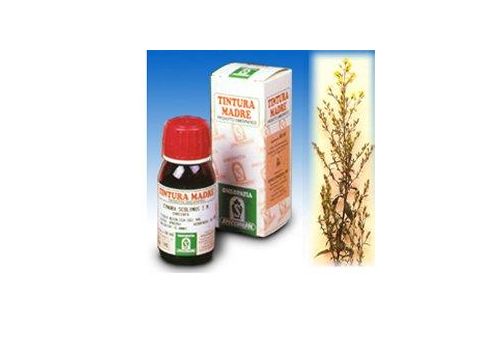 Verga d'oro integratore per l'apparato urinario soluzione idroalcolica 50ml