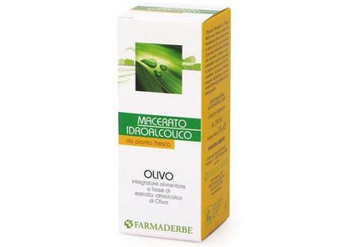 Olivo macerato idroalcolico 100ml