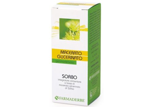 Sorbo integratore per la microcircolazione macerato glicerico 50ml