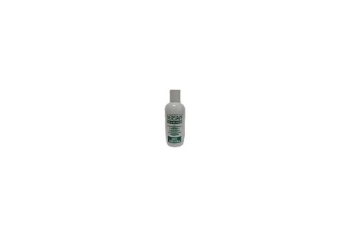Bersan shampoo antiforfora 250ml