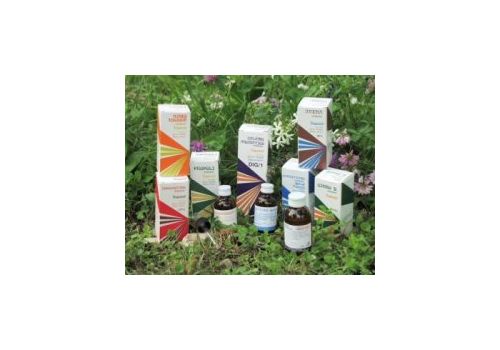 Raemil propoli comp compresse propoli ad alta concentrazione immunostimolante 15ml