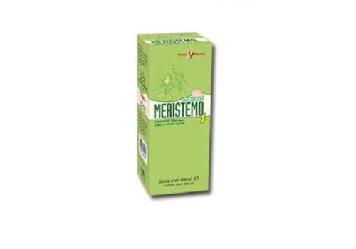 MERISTEMO YNKHAS 1 100ML