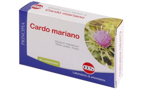 CARDO MARIANO ES 60CPR