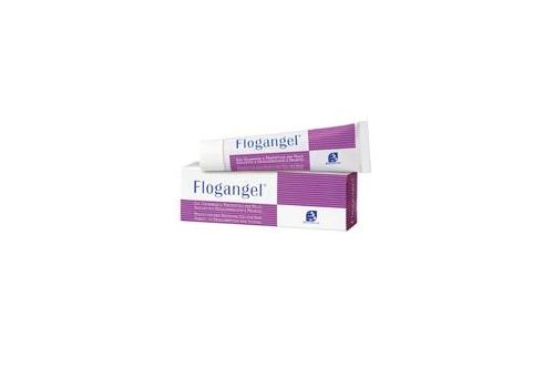 FLOGANGEL 40ML