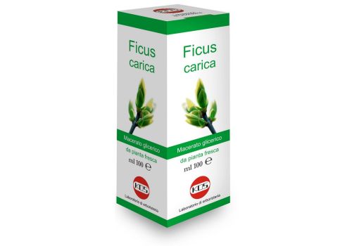 Ficus Carica Macerato integratore per il benessere dello stomaco macerato glicerico 100ml