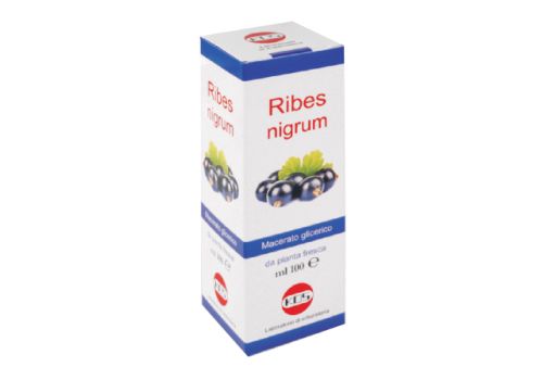 RIBES NIGRUM MG 100ML GTT