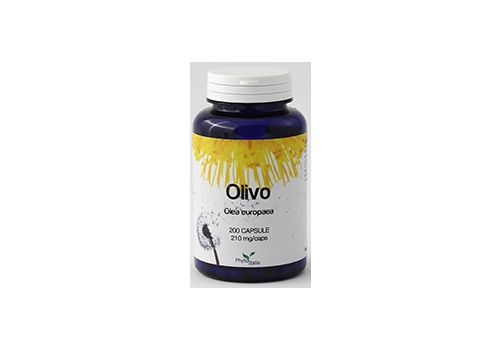Olivo integratore per la circolazione 60 capsule