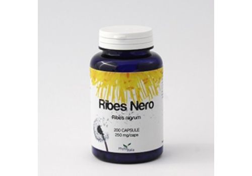 Ribes Nero integratore per il supporto immunitario e la circolazione 60 capsule