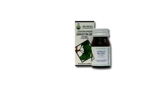 GINKGO BILOBA 60CPS