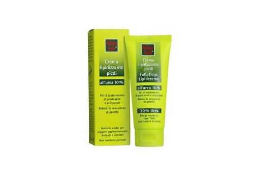 ALLGA CR LIPIDIZ PIED100ML