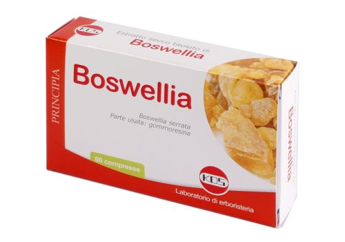Boswellia Serrata Estratto Secco integratore per la funzione articolare 60 compresse