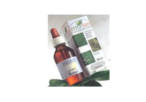 Ginkgo biloba foglie tintura madre 100ml