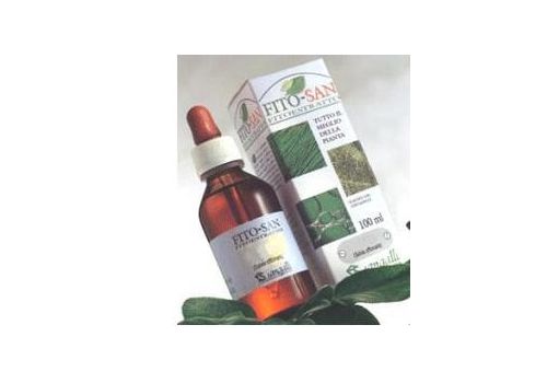 Salvia Foglie tintura madre per la funzione digestiva 100ml