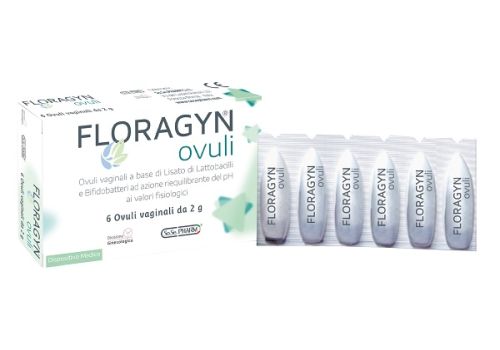FLORAGYN OVULI VAG 2G 6PZ