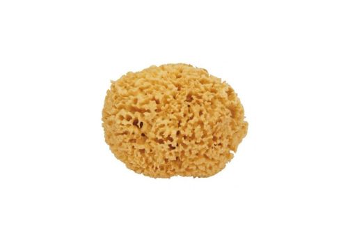 SPUGNA NATURALE MAXI