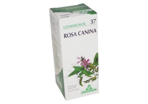 GEMMOSOL 37 ROSA CANINA 50ML
