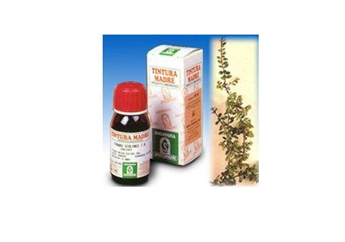 UVA URSINA 30 50ML TM