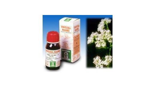 VALERIANA 36 TM 50ML