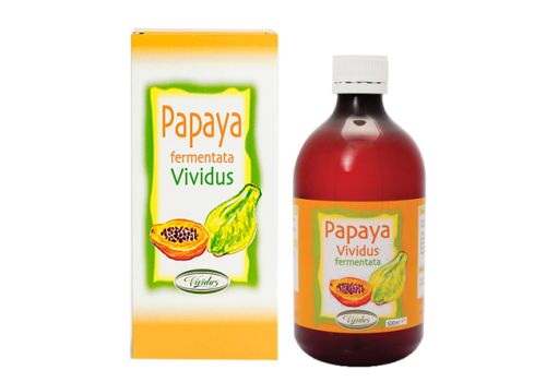 Papaya fermentata integratore per il benessere intestinale soluzione orale 500ml