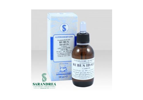 RUBUS IDAEUS MACERATO GLICERICO 100ML