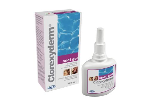 CLOREXYDERM SPOT GEL 100ML