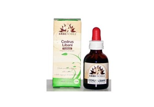 Cedrus Libani Fitoblasto soluzione idroalcolica 50ml