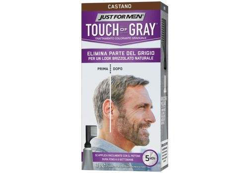 JUST FOR MEN TOUCH OF GRAY CAS