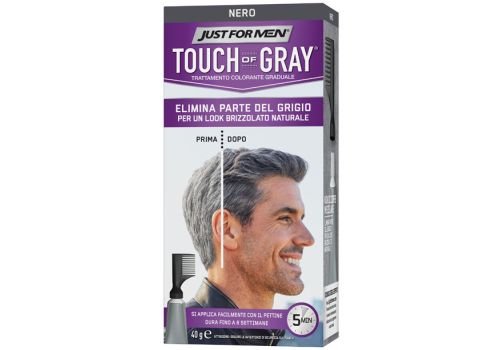 JUST FOR MEN TOUCH OF GRAY NE