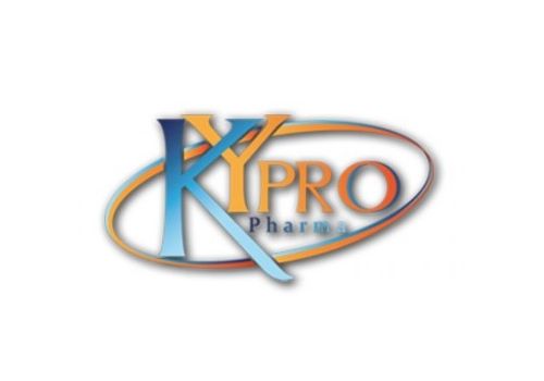 Roxart integratore per il benessere articolare 30 bustine