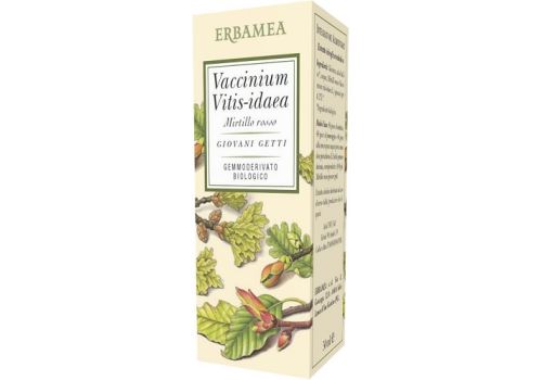 Vaccinium Vitis-idaea mirtillo rosso bio benessere delle vie urinarie gemmoderivato 50ml