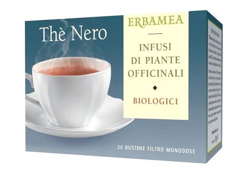 Erbamea thè nero biologico 15 bustine filtro